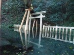 鹿島神宮　御手洗池　Kashima-jinguu   Mitarai pond